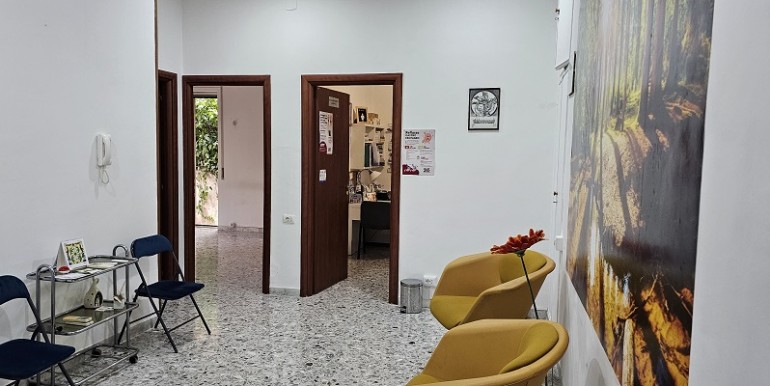 Carelli PT (1)