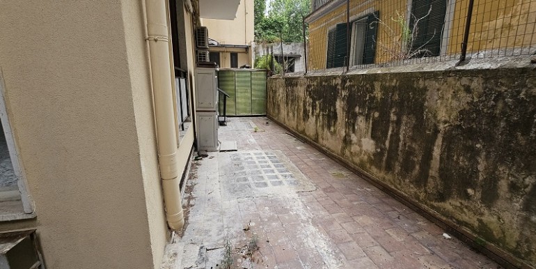 Carelli PT (11)
