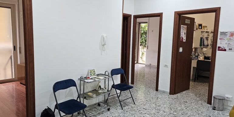 Carelli PT (2)