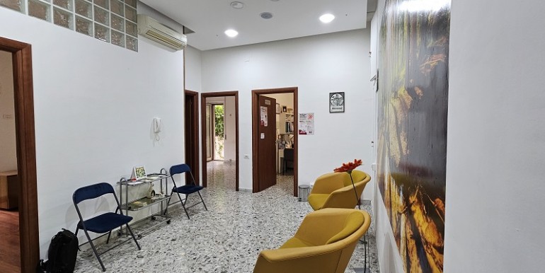 Carelli PT (3)