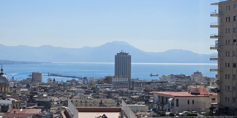 Vista (3)