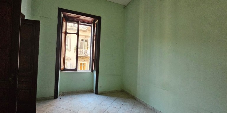 foto nuove tasso (10)