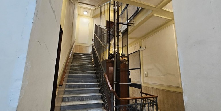 foto nuove tasso (11)