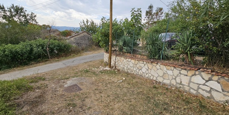 morcone (3)