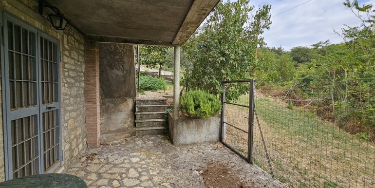 morcone (35)