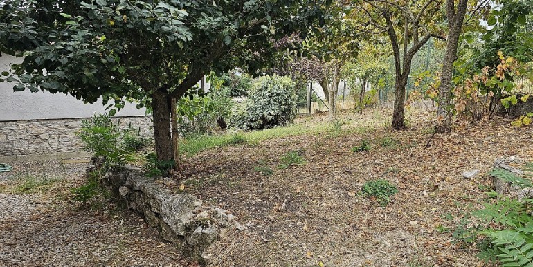 morcone (48)