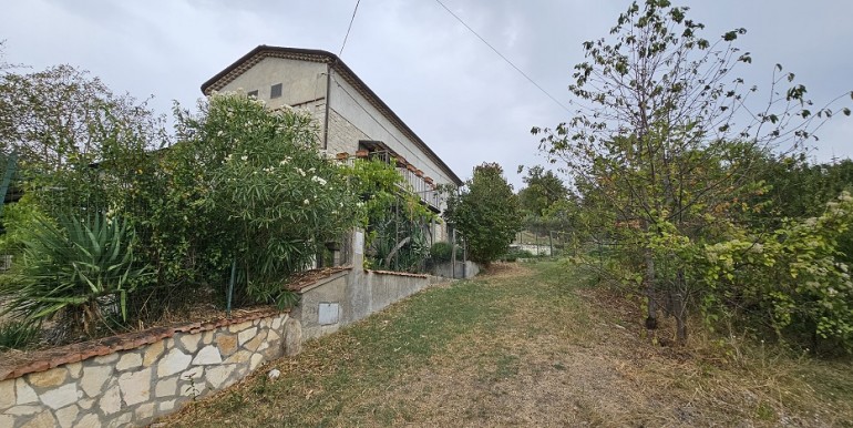 morcone (5)