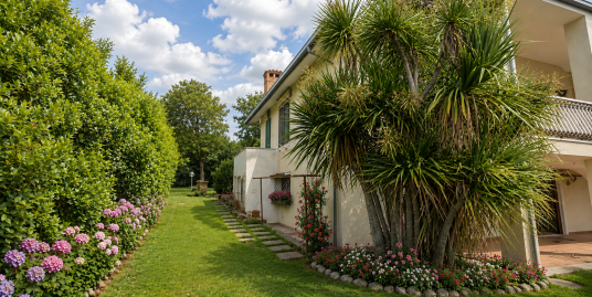 Fossacesia (CH) VILLA ESCLUSIVA TRA ULIVI, PANORAMA E MARE