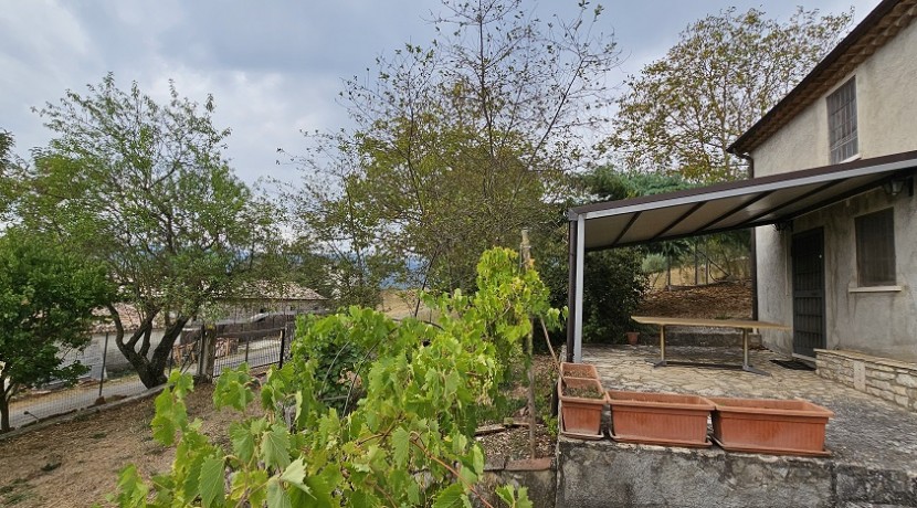 morcone (1)