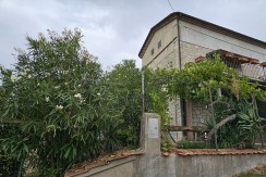 morcone (2)