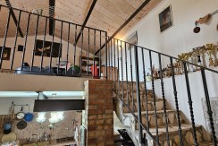 morcone (24)