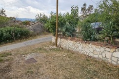 morcone (3)