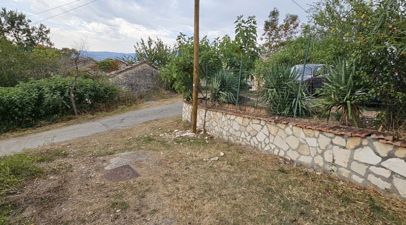 morcone (3)