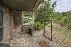 morcone (35)