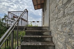 morcone (37)