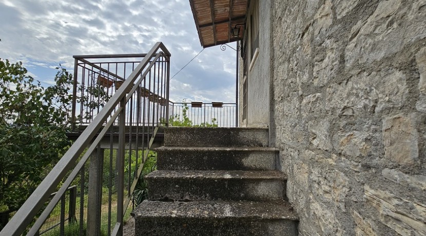 morcone (37)
