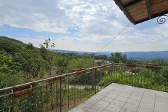 morcone (38)