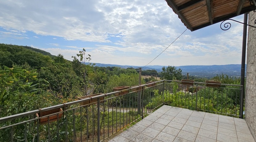 morcone (38)