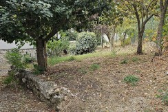 morcone (48)