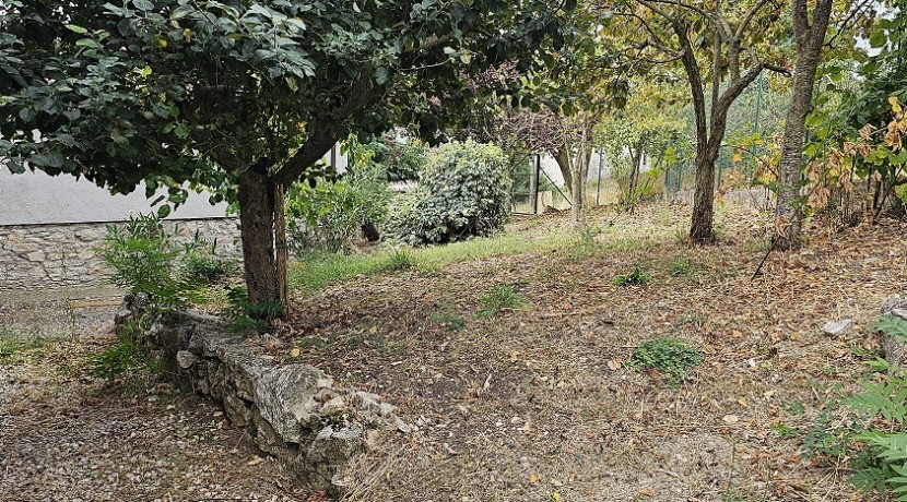 morcone (48)