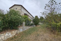 morcone (5)