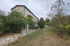morcone (5)